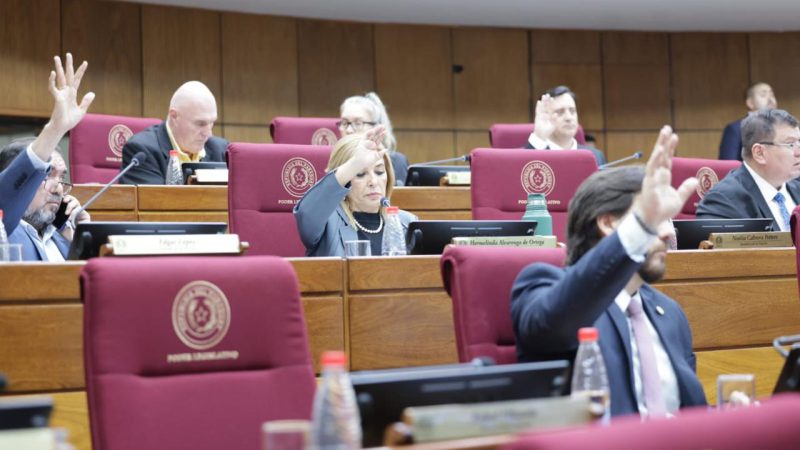 Senado aprueba en general reforma de la Caja Fiscal y posterga estudio particular por 8 días