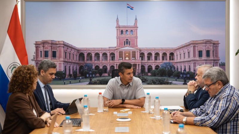 Peña reafirma respaldo al IPS y exhorta a priorizar la gestión técnica