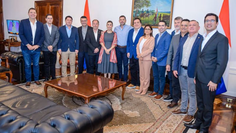 Gobernadores colorados presionan por dupla de Alliana para elecciones presidenciales