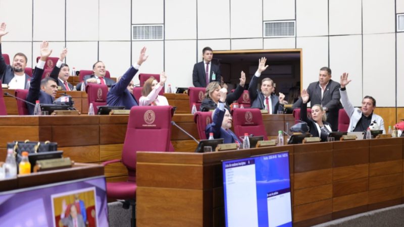 Senado bajo presión: Jubilación VIP podría quedar sancionada sin debate