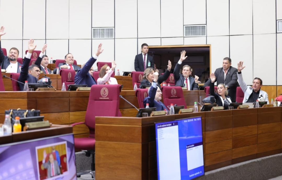 Senado bajo presión: Jubilación VIP podría quedar sancionada sin debate