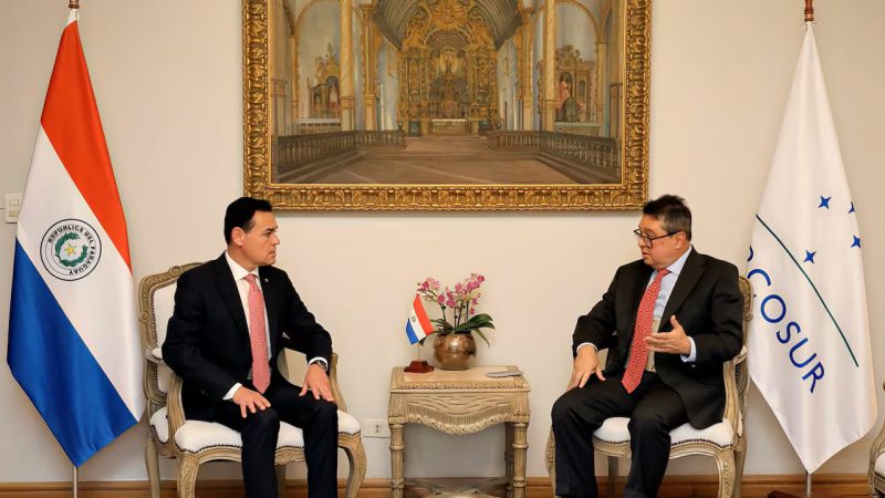 “Si yo fuera presidente, le echaría a Leite”, apuntó senador Derlis Maidana