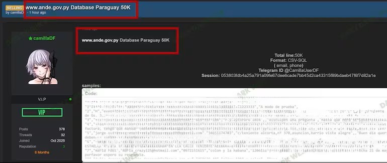 Alerta digital: denuncian supuesta filtración de datos de la ANDE en la web oscura