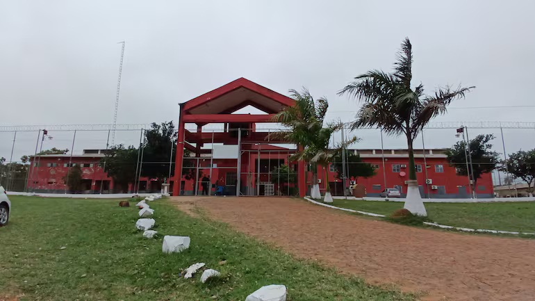¿Comen gatos en la Cárcel de Coronel Oviedo? Esta es la grave denuncia que hace una organización