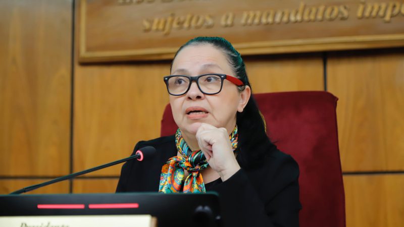 Aumentar el salario mínimo en G. 60.000 es absurdo, afirma senadora