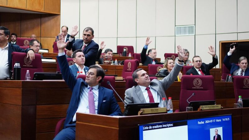 Senadores de Honor Colorado propondrán esta semana a un vice para la fórmula 2028 de Alliana